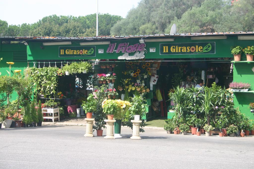 Vittoria Guest House Ρώμη Εξωτερικό φωτογραφία